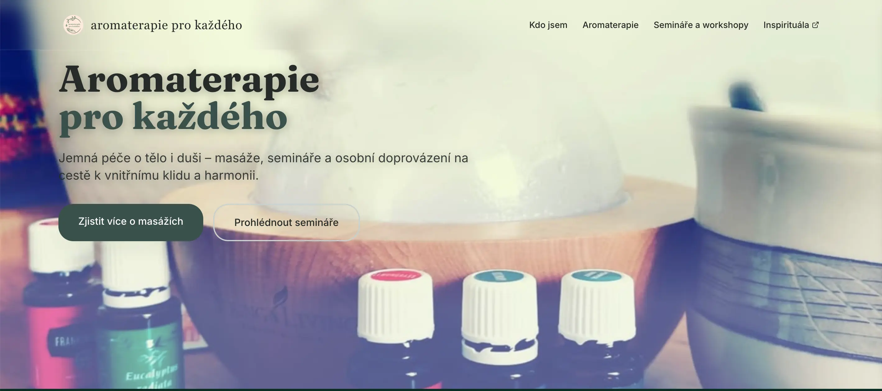 Webové stránky pro lektora